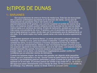 b)TIPOS DE DUNAS 
1.- BARJANES 
 Son acumulaciones de arena en forma de media luna, Este tipo de duna posee dos «cuernos» enfrentados apuntando en la dirección del viento, con la cara de deslizamiento (la pendiente a favor del viento) en el ángulo de reposo de la arena (aproximadamente 32-35 grados). Los cuernos muestran el sentido de avance de la duna. Los barjanes simples pueden estirarse entre las puntas de los cuernos desde metros hasta a un centenar de metros. El lado de barlovento, azotado por el viento, es más suave (una pendiente de unos 15 grados) y por él ascienden las partículas de arena hasta alcanzar la cresta, donde caen por la escarpada cara de deslizamiento al otro lado. Si el viento sopla muy fuerte, puede verse una nube de arena superando la cresta. 
Los barjanes aparecen en terrenos llanos. La arena aprovecha cualquier obstáculo, montículo, matorral o roca, para acumularse a sotavento. Cuando hay suficiente cantidad de arena, la duna comienza a moverse adoptando la forma de media luna que las hace tan características. Debido a esto, los barjanes tienden a formar grupos que avanzan siguiendo la misma dirección, que es la del viento. Los barjanes simples pueden hacerse más grande, formando barjanes compuestas o megabarjanes, que pueden migrar con el viento. Los barjanes y megabarjanes pueden confluir en cordilleras que se extienden cientos de kilómetros. 
Cuando los barjanes migran, las dunas más grandes van dejando atrás pequeñas dunas, que al ir avanzando a su vez, chocan contra la parte trasera de otras dunas mayores y que finalmente parecen perforarlas y pasar a través de la gran duna para aparecer en el otro lado. El proceso parece ser similar a las ondas de luz, de sonido o del agua que pasan directamente unas a través de otras. El mecanismo en detalle es, sin embargo, muy diferente, siendo no lineal. Éstos se conocen como solitones  