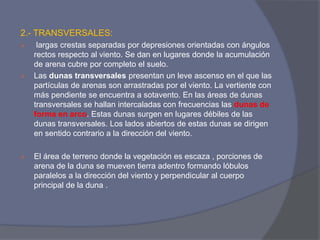 2.- TRANSVERSALES: 
 largas crestas separadas por depresiones orientadas con ángulos rectos respecto al viento. Se dan en lugares donde la acumulación de arena cubre por completo el suelo. 
Las dunas transversales presentan un leve ascenso en el que las partículas de arenas son arrastradas por el viento. La vertiente con más pendiente se encuentra a sotavento. En las áreas de dunas transversales se hallan intercaladas con frecuencias las dunas de forma en arco. Estas dunas surgen en lugares débiles de las dunas transversales. Los lados abiertos de estas dunas se dirigen en sentido contrario a la dirección del viento. 
El área de terreno donde la vegetación es escaza , porciones de arena de la duna se mueven tierra adentro formando lóbulos paralelos a la dirección del viento y perpendicular al cuerpo principal de la duna .  