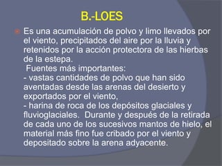 B.-LOES 
Es una acumulación de polvo y limo llevados por el viento, precipitados del aire por la lluvia y retenidos por la acción protectora de las hierbas de la estepa. Fuentes más importantes: - vastas cantidades de polvo que han sido aventadas desde las arenas del desierto y exportados por el viento, - harina de roca de los depósitos glaciales y fluvioglaciales. Durante y después de la retirada de cada uno de los sucesivos mantos de hielo, el material más fino fue cribado por el viento y depositado sobre la arena adyacente.  