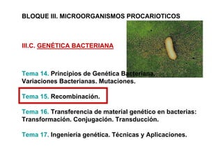 BLOQUE III. MICROORGANISMOS PROCARIOTICOS



III.C. GENÉTICA BACTERIANA



Tema 14. Principios de Genética Bacteriana.
Variaciones Bacterianas. Mutaciones.

Tema 15. Recombinación.

Tema 16. Transferencia de material genético en bacterias:
Transformación. Conjugación. Transducción.

Tema 17. Ingeniería genética. Técnicas y Aplicaciones.
 