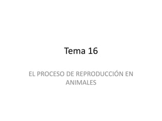 Tema 16
EL PROCESO DE REPRODUCCIÓN EN
ANIMALES
 