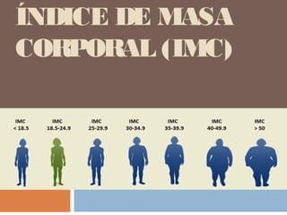 ÍNDICE DE MASA
CORPORAL (IMC)
 