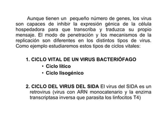 Aunque tienen un  pequeño número de genes, los virus son capaces de inhibir la expresión génica de la célula hospedadora para que transcriba y traduzca su propio mensaje. El modo de penetración y los mecanismos de la replicación son diferentes en los distintos tipos de virus. Como ejemplo estudiaremos estos tipos de ciclos vitales: 1. CICLO VITAL DE UN VIRUS BACTERIÓFAGO Ciclo lítico Ciclo lisogénico 2. CICLO DEL VIRUS DEL SIDA  El virus del SIDA es un retrovirus (virus con ARN monocatenario y la enzima transcriptasa inversa que parasita los linfocitos T4) 