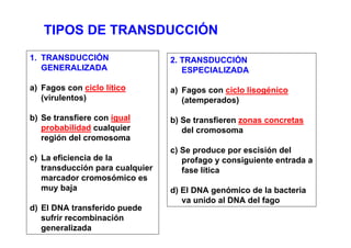 TIPOS DE TRANSDUCCIÓN
1. TRANSDUCCIÓN                  2. TRANSDUCCIÓN
   GENERALIZADA                     ESPECIALIZADA

a) Fagos con ciclo lítico        a) Fagos con ciclo lisogénico
   (virulentos)                     (atemperados)

b) Se transfiere con igual       b) Se transfieren zonas concretas
   probabilidad cualquier           del cromosoma
   región del cromosoma
                                 c) Se produce por escisión del
c) La eficiencia de la              profago y consiguiente entrada a
   transducción para cualquier      fase lítica
   marcador cromosómico es
   muy baja                      d) El DNA genómico de la bacteria
                                    va unido al DNA del fago
d) El DNA transferido puede
   sufrir recombinación
   generalizada
 