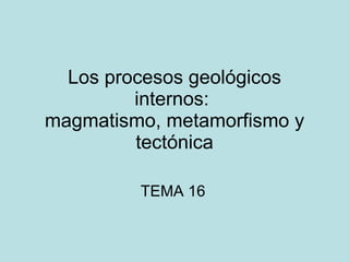 Los procesos geológicos internos:  magmatismo, metamorfismo y tectónica TEMA 16 