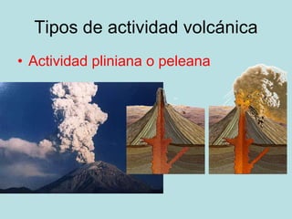 Tipos de actividad volcánica <ul><li>Actividad pliniana o peleana </li></ul>