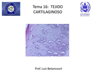 Tema 16: TEJIDO
CARTILAGINOSO




 Prof. Luis Betancourt
 