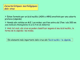 Característiques morfològiques
dels virus


 Estan formats per un àcid nuclèic (ADN o ARN) envoltats per una coberta
proteica (càpsida)
 Només són visibles en M.E. Les mides: oscil·len entre els 17nm i els 300 nm
(una molècula d’hemoglobina fa un 6,4 nm de diàmetre)
 Amb tot això, els virus es poden classificar segons el seu àcid nuclèic, la
forma de la càpsida i les mides.



   Els elements més importants dels virus són l’àcid nuclèic i la càpsida.
 