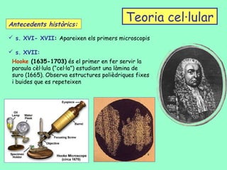 Antecedents històrics:
                                           Teoria cel·lular
 s. XVI- XVII: Apareixen els primers microscopis

 s. XVII:
 Hooke (1635-1703) és el primer en fer servir la
 paraula cèl·lula (“cel·la”) estudiant una làmina de
 suro (1665). Observa estructures polièdriques fixes
 i buides que es repeteixen
 