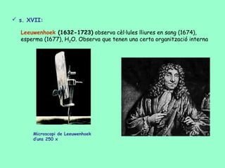  s. XVII:

  Leeuwenhoek (1632-1723) observa cèl·lules lliures en sang (1674),
  esperma (1677), H2O. Observa que tenen una certa organització interna




      Microscopi de Leeuwenhoek
      d’uns 250 x
 