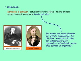  1838-1839:

  Schleiden & Schwuan , estudiant teixits vegetals i teixits animals
  respectivament, enuncien la teoria cel·lular




                                          Els essers vius estan formats
                                          per unitats fonamentals, les
                                          cèl·lules. Aquestes cèl·lules
                                          són independents però
                                          agrupades i subordinades entre
                                          elles formen un organisme
 