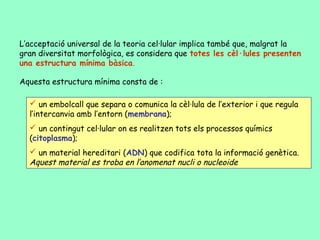 L’acceptació universal de la teoria cel·lular implica també que, malgrat la
gran diversitat morfològica, es considera que totes les cèl·lules presenten
una estructura mínima bàsica.

Aquesta estructura mínima consta de :

   un embolcall que separa o comunica la cèl·lula de l’exterior i que regula
  l’intercanvia amb l’entorn (membrana);
   un contingut cel·lular on es realitzen tots els processos químics
  (citoplasma);
   un material hereditari (ADN) que codifica tota la informació genètica.
  Aquest material es troba en l’anomenat nucli o nucleoide
 