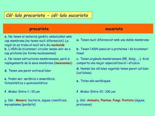 Cèl·lula procariota - cèl·lula eucariota

                  procariota                                           eucariota
a. No tenen el material genètic embolcallat amb
cap membrana (no tenen nucli diferenciat). La     a. Tenen nucli diferenciat amb una doble membrana
regió on es troba el nucli se’n diu nucleoide
b. L’ADN és bicatenari circular sense unir-se a   b. Tenen l’ADN associat a proteïnes i és bicatenari
cap proteïna (no forma nucleosomes)               lineal
c. No tenen estructures membranoses, però si      c. Tenen orgànuls membranosos (RE, Golgi, ...). Això
replegaments de la seva membrana (mesosomes)      comporta una major especialització i eficàcia
                                                  d. Només les cèl·lules vegetals tenen paret cel·lular
d. Tenen una paret extracel·lular
                                                  (cel·lulosa)
e. Poden ser: aeròbics o anaeròbics;
                                                  e. Totes són aeròbiques
fotosintètics o quimiosintètics

f. Mides: Entre 1 i 10 µm                         f. Mides: Entre 10 i 100 µm

g. Són : Monera: bacteris, algues cianofícies,    g. Són: Animalia, Plantae, Fungi, Protista (algues,
mycoplasma (paràsits)                             protozoos)
 