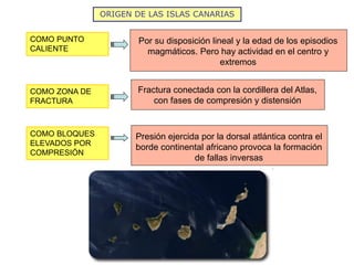 ORIGEN DE LAS ISLAS CANARIAS
COMO PUNTO
CALIENTE
COMO ZONA DE
FRACTURA
Fractura conectada con la cordillera del Atlas,
con fases de compresión y distensión
COMO BLOQUES
ELEVADOS POR
COMPRESIÓN
Presión ejercida por la dorsal atlántica contra el
borde continental africano provoca la formación
de fallas inversas
Por su disposición lineal y la edad de los episodios
magmáticos. Pero hay actividad en el centro y
extremos
 