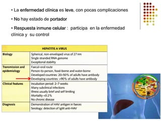 • La enfermedad clínica es leve, con pocas complicaciones
• No hay estado de portador
• Respuesta inmune celular : participa en la enfermedad
clínica y su control
 