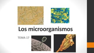 Los microorganismos
TEMA 17
 