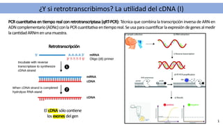 Retrotranscriptasa Inversa Tema 17. La biotecnología: conceptos y aplicaciones | PPTX