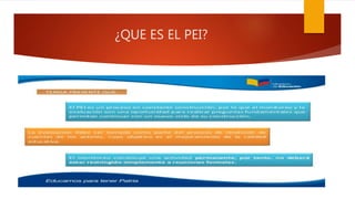 ¿QUE ES EL PEI?