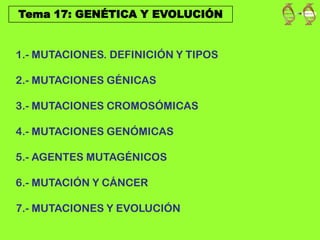 Tema 17: GENÉTICA Y EVOLUCIÓN
1.- MUTACIONES. DEFINICIÓN Y TIPOS
2.- MUTACIONES GÉNICAS
3.- MUTACIONES CROMOSÓMICAS
4.- MUTACIONES GENÓMICAS
5.- AGENTES MUTAGÉNICOS
6.- MUTACIÓN Y CÁNCER
7.- MUTACIONES Y EVOLUCIÓN
 