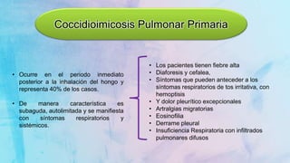 Coccidioimicosis Pulmonar Primaria
• Ocurre en el periodo inmediato
posterior a la inhalación del hongo y
representa 40% de los casos.
• De manera característica es
subaguda, autolimitada y se manifiesta
con síntomas respiratorios y
sistémicos.
• Los pacientes tienen fiebre alta
• Diaforesis y cefalea,
• Síntomas que pueden anteceder a los
síntomas respiratorios de tos irritativa, con
hemoptisis
• Y dolor pleurítico excepcionales
• Artralgias migratorias
• Eosinofilia
• Derrame pleural
• Insuficiencia Respiratoria con infiltrados
pulmonares difusos
 