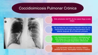 Coccidioimicosis Pulmonar Crónica
Sólo alrededor del 5% de los casos llega a esta
etapa.
No se trata de una nueva infección sino de una
reactivación del hongo que permaneció vivo y
latente después de la infección primaria
Las manifestaciones clínicas y radiológicas de
esta etapa son muy similares a las de la TB,
que es el principal diagnóstico diferencial.
Los pacientes sufren tos crónica, fiebre y
pérdida de peso, hemoptisis mínima o masiva.
 