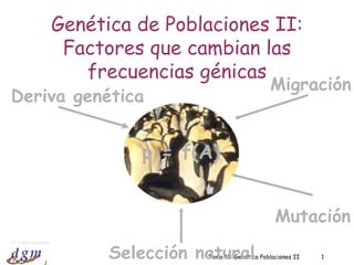 Tema 18: Genética Poblaciones II Genética de Poblaciones II: Factores que cambian las frecuencias génicas p = f(A) Deriva genética Selección natural Mutación Migración 