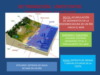 DE TRANSICIÓN: LÍMITE ENTRE
   CONTINENTAL Y OCÉANO
                               DELTA: ACUMULACIÓN
                               DE SEDIMENTOS EN LA
                            DESEMBOCADURA DE UN RÍO
                                   HACIA EL MAR

                              MARISMAS Y ALBUFERAS.
                                LAGUNAS COSTERAS
                                SEPARADOS TOTAL O
                              PARCIALMENTE DEL MAR




                              PLAYA: DEPÓSITO DE ARENAS
                               Y GRAVAS SITUADAS EN LA
ESTUARIO: ENTRADA DE AGUA               COSTA
    DE MAR EN UN RÍO
 