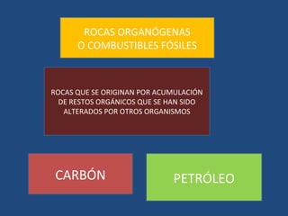ROCAS ORGANÓGENAS
      O COMBUSTIBLES FÓSILES



ROCAS QUE SE ORIGINAN POR ACUMULACIÓN
  DE RESTOS ORGÁNICOS QUE SE HAN SIDO
   ALTERADOS POR OTROS ORGANISMOS




 CARBÓN                      PETRÓLEO
 