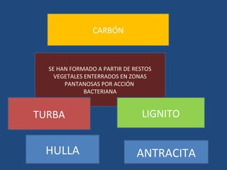 CARBÓN



  SE HAN FORMADO A PARTIR DE RESTOS
    VEGETALES ENTERRADOS EN ZONAS
       PANTANOSAS POR ACCIÓN
              BACTERIANA


TURBA                          LIGNITO


 HULLA                        ANTRACITA
 