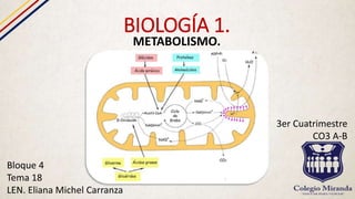 BIOLOGÍA 1.
METABOLISMO.
Bloque 4
Tema 18
LEN. Eliana Michel Carranza
3er Cuatrimestre
CO3 A-B
 