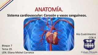 ANATOMÍA.
Sistema cardiovascular: Corazón y vasos sanguíneos.
Bloque 7
Tema 19.
LEN. Eliana Michel Carranza
6to Cuatrimestre
CO6 A
 