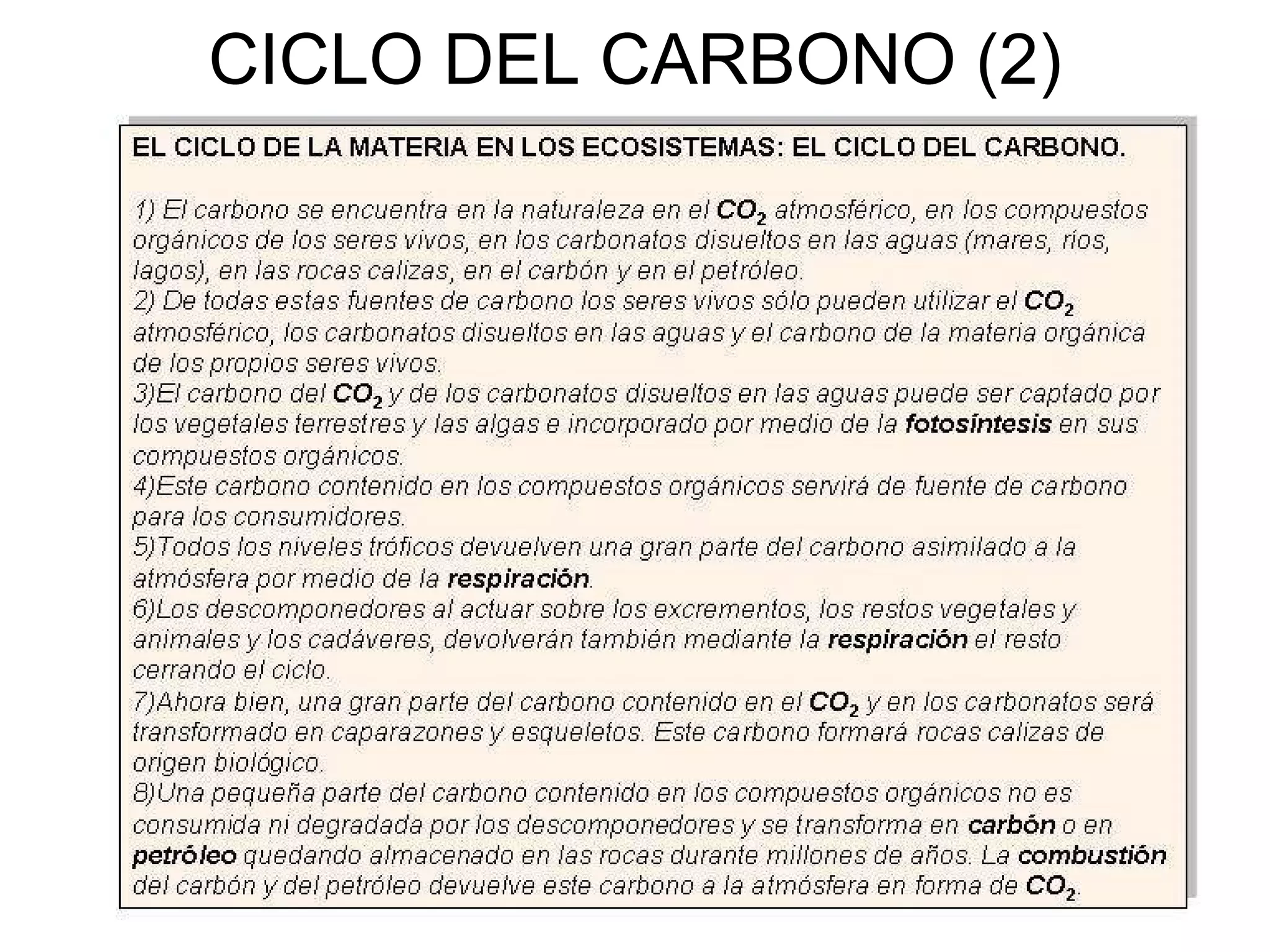 CICLO DEL CARBONO (2)