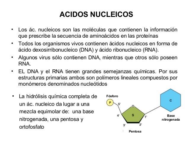 curso de bio medicina curso de bio medicina
