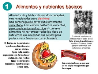 Alimentos y nutrientes básicos Alimentación y Nutrición son dos conceptos muy relacionados pero  distintos: Una persona puede estar suficientemente alimentada  si ha comido bastantes alimentos,  pero puede estar mal nutrida  si con esos alimentos no ha tomado todos los tipos de nutrientes que necesitan sus células para poder vivir y funcionar correctamente.  El  vientre hinchado de estos niños se debe a una  falta grave de proteínas  en su dieta. Comen a diario, pero no alimentos con suficientes proteínas. El destino de los nutrientes que hay en los alimentos son las células.  Como todo nuestro organismo está formado por células, si éstas reciben todos los nutrientes necesarios, nuestro cuerpo estará sano.  Los nutrientes llegan a cada una de tus células transportados por la  sangre 1 