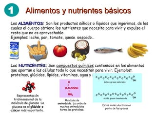Alimentos y nutrientes básicos Los  ALIMENTOS :  Son los productos sólidos o líquidos que ingerimos, de los cuales el cuerpo obtiene los nutrientes que necesita para vivir y expulsa el resto que no es aprovechable. Ejemplos: leche, pan, tomate, queso, pescado… Los   NUTRIENTES :  Son  compuestos químicos  contenidos en los alimentos que aportan a las células todo lo que necesitan para vivir. Ejemplos: proteínas, glúcidos, lípidos, vitaminas, agua y sales minerales. Representación tridimensional de la molécula de glucosa  La glucosa es el  glúcido o azúcar  más importante.  Molécula de  aminoácido.  La unión de muchos aminoácidos forma las proteínas. Estas moléculas forman parte de las grasas 1 