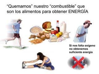 “ Quemamos” nuestro “combustible” que son los alimentos para obtener ENERGÍA Si nos falta oxígeno no obtenemos suficiente energía 