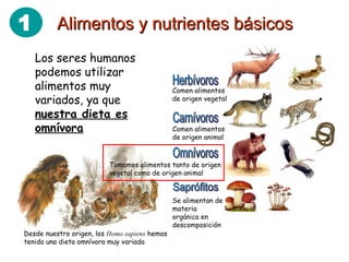 Alimentos y nutrientes básicos Los seres humanos podemos utilizar alimentos muy variados, ya que  nuestra dieta es omnívora Se alimentan de materia orgánica en descomposición Comen alimentos de origen vegetal Comen alimentos de origen animal Tomamos alimentos tanto de origen vegetal como de origen animal Desde nuestro origen, los  Homo sapiens  hemos tenido una dieta omnívora muy variada 1 