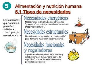 Alimentación y nutrición humana 5.1 Tipos de necesidades Los alimentos que tomamos permiten satisfacer tres tipos de necesidades: Necesidades energéticas Necesidades estructurales Necesitamos la ENERGÍA que obtenemos “quemando” los nutrientes en las mitocondrias (respiración celular). Necesitamos un “material de construcción” para formar y mantener nuestro cuerpo. Algunos nutrientes, como las vitaminas y sales minerales, sirven “para que todo vaya bien”, aunque los necesitemos en pequeñas cantidades. 5 Necesidades funcionales y reguladoras 