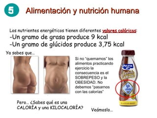 Los nutrientes energéticos tienen diferentes  valores calóricos : Un gramo de grasa produce 9 kcal Un gramo de glúcidos produce 3,75 kcal Si no “quemamos” los alimentos practicando ejercicio la consecuencia es el SOBREPESO y la OBESIDAD. No debemos “pasarnos con las calorías” Ya sabes que… Pero… ¿Sabes qué es una CALORÍA y una KILOCALORÍA? Veámoslo… Alimentación y nutrición humana 5 
