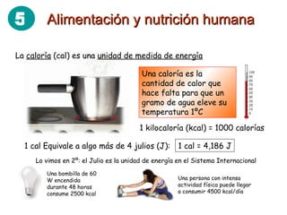Una caloría es la cantidad de calor que hace falta para que un gramo de agua eleve su temperatura 1ºC La  caloría  (cal) es una  unidad de medida de energía 1 kilocaloría (kcal) = 1000 calorías 1 cal Equivale a algo más de 4 julios (J): 1 cal = 4,186 J Una bombilla de 60 W encendida durante 48 horas consume 2500 kcal Lo vimos en 2º: el Julio es la unidad de energía en el Sistema Internacional Una persona con intensa actividad física puede llegar a consumir 4500 kcal/día Alimentación y nutrición humana 5 