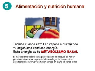 Incluso cuando estás en reposo o durmiendo tu organismo consume energía. Esta energía es tu  METABOLISMO BASAL El metabolismo basal de una persona se mide después de haber permanecido esta en reposo total en un lugar de temperatura agradable (unos 20ºC) y de haber estado en ayuna 12 horas o más Alimentación y nutrición humana 5 