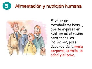 El valor de metabolismo basal , que se expresa en kcal, no es el mismo para todos los individuos, pues depende de la  masa   corporal, la talla, la edad y el sexo. Alimentación y nutrición humana 5 