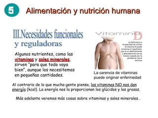Algunos nutrientes, como las  vitaminas  y  sales minerales , sirven “para que todo vaya bien”, aunque los necesitemos en pequeñas cantidades. Más adelante veremos más cosas sobre vitaminas y sales minerales… Al contrario de lo que mucha gente piensa,  las vitaminas NO nos dan energía  (kcal). La energía nos la proporcionan los glúcidos y las grasas. La carencia de vitaminas puede originar enfermedad Alimentación y nutrición humana 5 III.Necesidades funcionales y reguladoras 