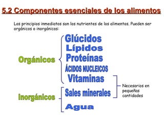 5.2 Componentes esenciales de los alimentos Los principios inmediatos son los nutrientes de los alimentos. Pueden ser orgánicos o inorgánicos: Orgánicos Inorgánicos Glúcidos Lípidos Proteínas Sales minerales Agua Vitaminas Necesarios en pequeñas cantidades ÁCIDOS NUCLEICOS 