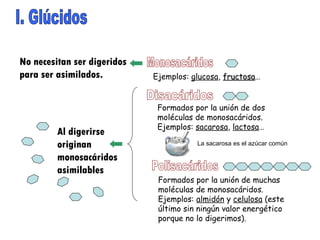 I. Glúcidos Monosacáridos Disacáridos Ejemplos:  glucosa ,  fructosa … Formados por la unión de dos moléculas de monosacáridos. Ejemplos:  sacarosa ,  lactosa … Polisacáridos Formados por la unión de muchas moléculas de monosacáridos. Ejemplos:  almidón  y  celulosa  (este último sin ningún valor energético porque no lo digerimos). La sacarosa es el azúcar común No necesitan ser digeridos para ser asimilados. Al digerirse originan monosacáridos asimilables 