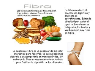 La celulosa o fibra es un polisacárido sin valor energético para nosotros, ya que no podemos digerirlo o descomponerlo en monosacáridos. Sin embargo la fibra es muy necesaria en la dieta para facilitar la digestión de los alimentos. La fibra ayuda en el proceso de digestión y previene el estreñimiento. Evitan la obesidad por saciar el apetito. Los alimentos integrales, las frutas y verduras son muy ricos en fibra. 