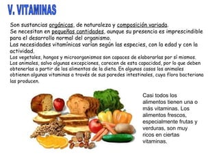 V. VITAMINAS Son sustancias  orgánicas , de naturaleza y  composición variada . Se necesitan en  pequeñas cantidades , aunque su presencia es imprescindible para el desarrollo normal del organismo. Las necesidades vitamínicas varían según las especies, con la edad y con la actividad. Los vegetales, hongos y microorganismos son capaces de elaborarlas por sí mismos. Los animales, salvo algunas excepciones, carecen de esta capacidad, por lo que deben obtenerlas a partir de los alimentos de la dieta. En algunos casos los animales obtienen algunas vitaminas a través de sus paredes intestinales, cuya flora bacteriana las producen.   Casi todos los alimentos tienen una o más vitaminas. Los alimentos frescos, especialmente frutas y verduras, son muy ricos en ciertas vitaminas. 