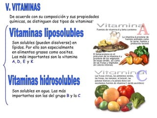 V. VITAMINAS De acuerdo con su composición y sus propiedades químicas, se distinguen dos tipos de vitaminas: Vitaminas liposolubles Vitaminas hidrosolubles Son solubles (pueden disolverse) en lípidos. Por ello son especialmente en alimentos grasos como aceites. Las más importantes son la vitamina  A ,  D,   E  y  K Son solubles en agua. Las más importantes son las del grupo  B  y la  C 
