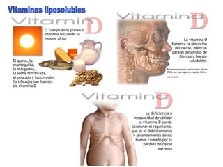 Vitaminas liposolubles 