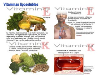 Vitaminas liposolubles 